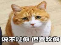 宿迁佳得润商贸有限公司