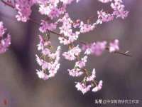 宿迁佳得润商贸有限公司
