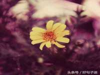 宿迁佳得润商贸有限公司