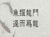 宿迁佳得润商贸有限公司