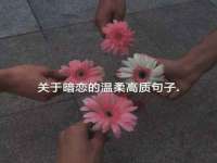 宿迁佳得润商贸有限公司