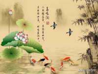 宿迁佳得润商贸有限公司