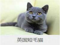 宿迁佳得润商贸有限公司