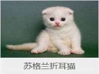 宿迁佳得润商贸有限公司