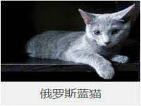 宿迁佳得润商贸有限公司