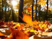 宿迁佳得润商贸有限公司