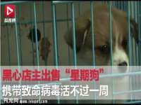 宿迁佳得润商贸有限公司