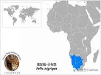 宿迁佳得润商贸有限公司