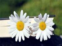 宿迁佳得润商贸有限公司
