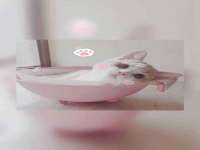 宿迁佳得润商贸有限公司