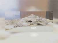 宿迁佳得润商贸有限公司