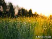 宿迁佳得润商贸有限公司