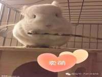 宿迁佳得润商贸有限公司