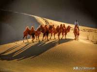 宿迁佳得润商贸有限公司