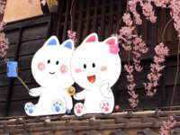 宿迁佳得润商贸有限公司