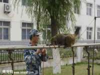 宿迁佳得润商贸有限公司