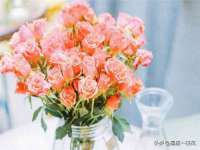 宿迁佳得润商贸有限公司